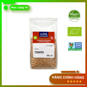 Hạt cỏ lúa mì hữu cơ Sottolestelle 500g, 1kg