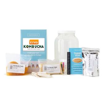 Làm trà KOMBUCHA Với con giống SCOBY Organic Stay Ba Vì.