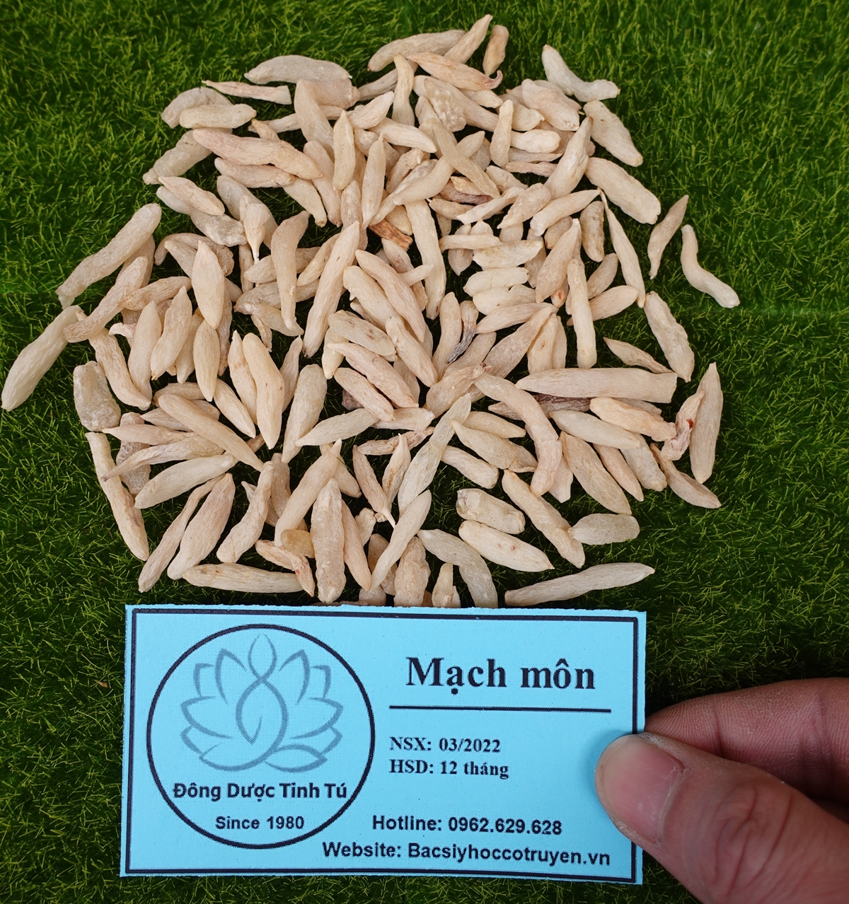 Mạch môn 100g, dược liệu loại 1, khô, sạch