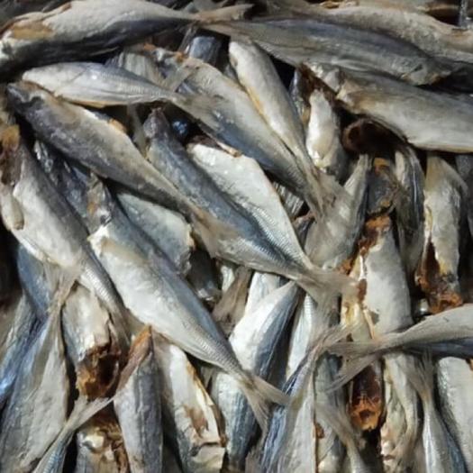 Cá khô kho khế, Khô cá Nục không đầu đặc sản khô Cà Mau thịt săn chắc, thơm ngon, giàu dinh dưỡng hút chân không túi 100GRAM, Thơm ngon, Ăn bao ghiền