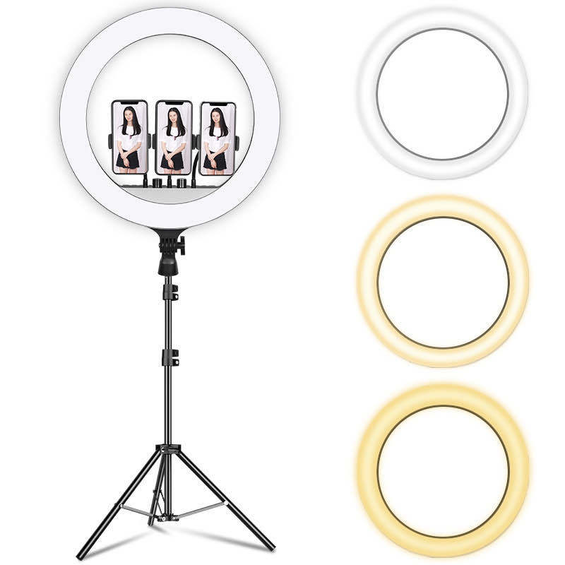 Đèn livestream rl-21 54cm chụp ảnh - quay phim - makeup cực lớn đèn livestream chính hãng,3 chế độ màu,kích thước 54cm lớn nhất , đèn led livestream cao cấp -hỗ trợ livestream cực đỉnh‎, đèn spa-phun săm- bảo hành 12 tháng