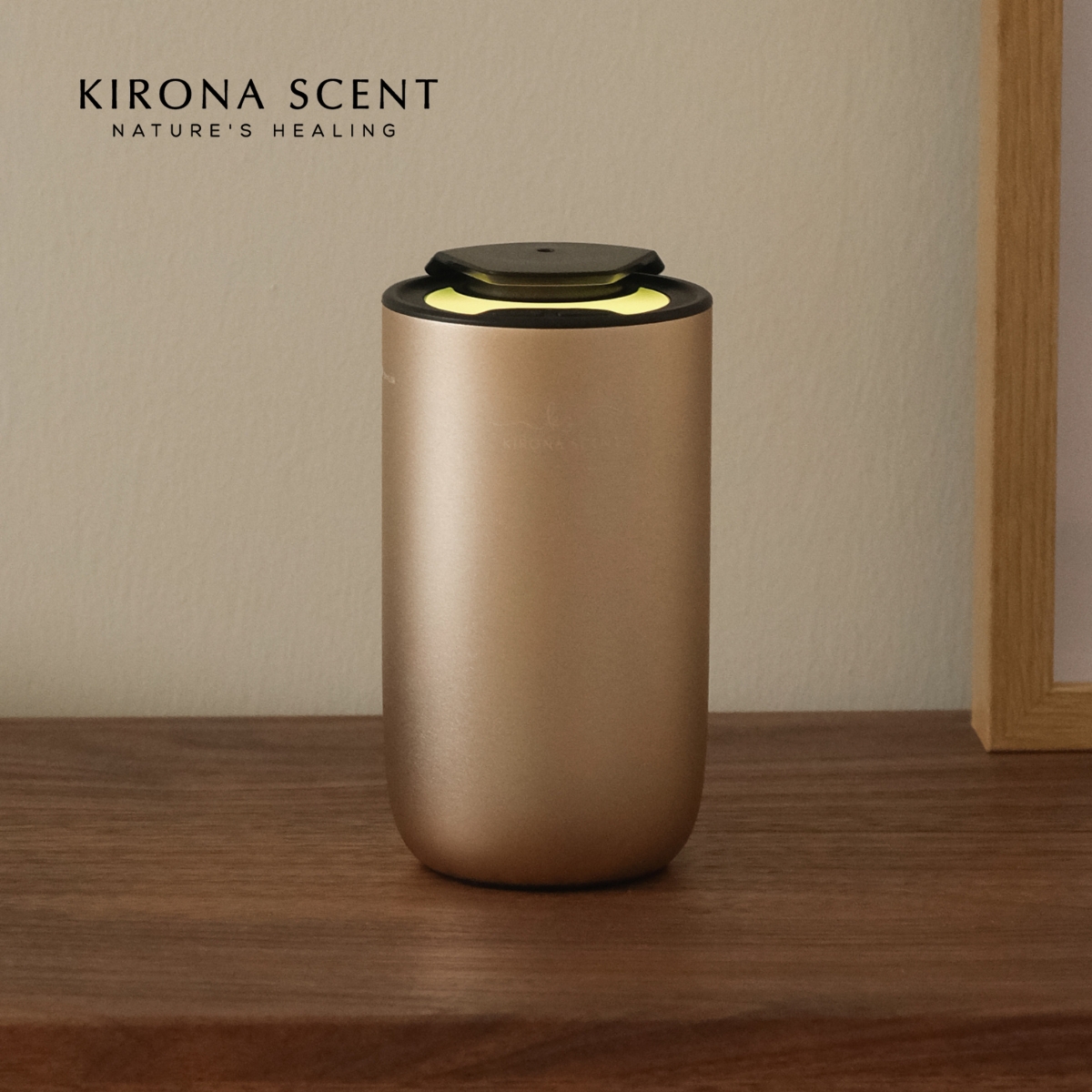 Shop Tata Cat Scent Diffuser at Better Price Online Lazada Singapore