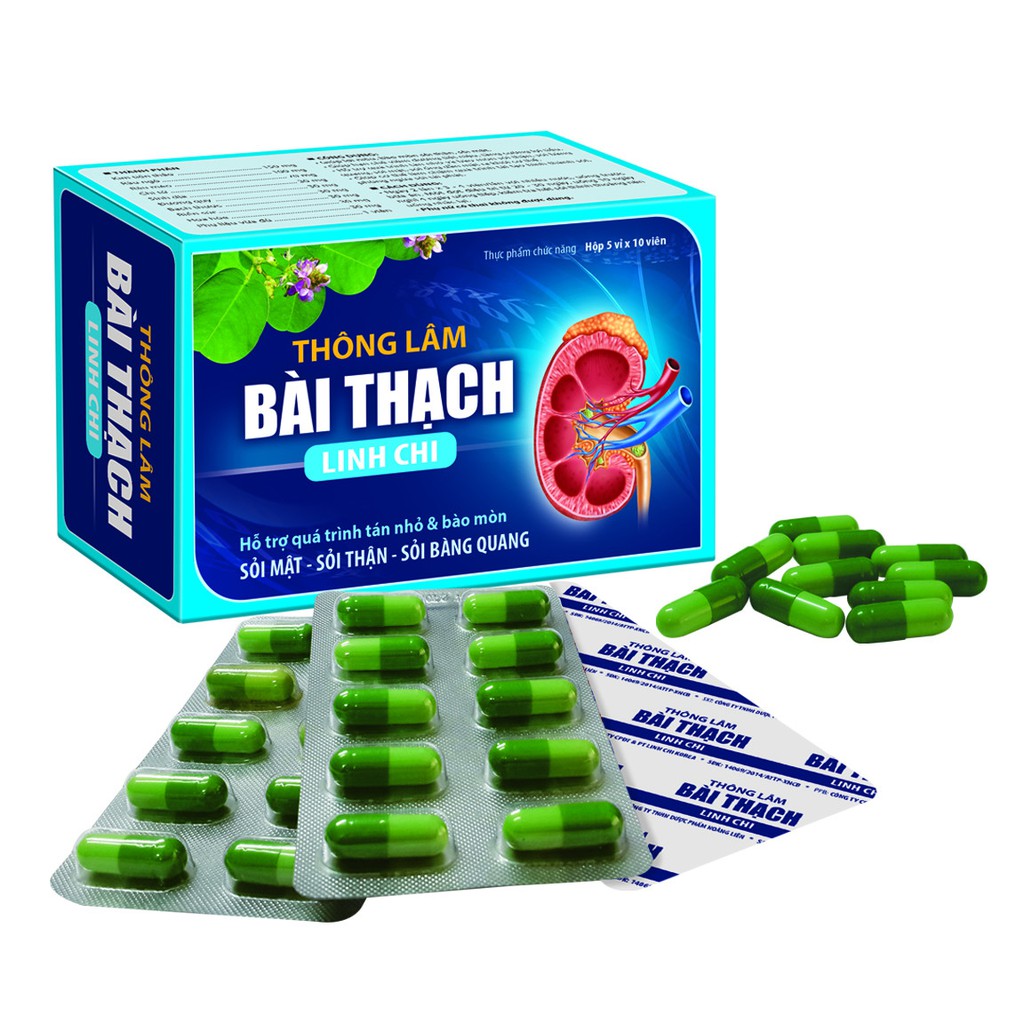 Thông lâm bài thạch linh chi