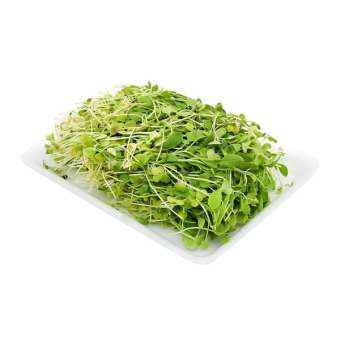 Rau mầm cải ngọt WinEco gói 100g