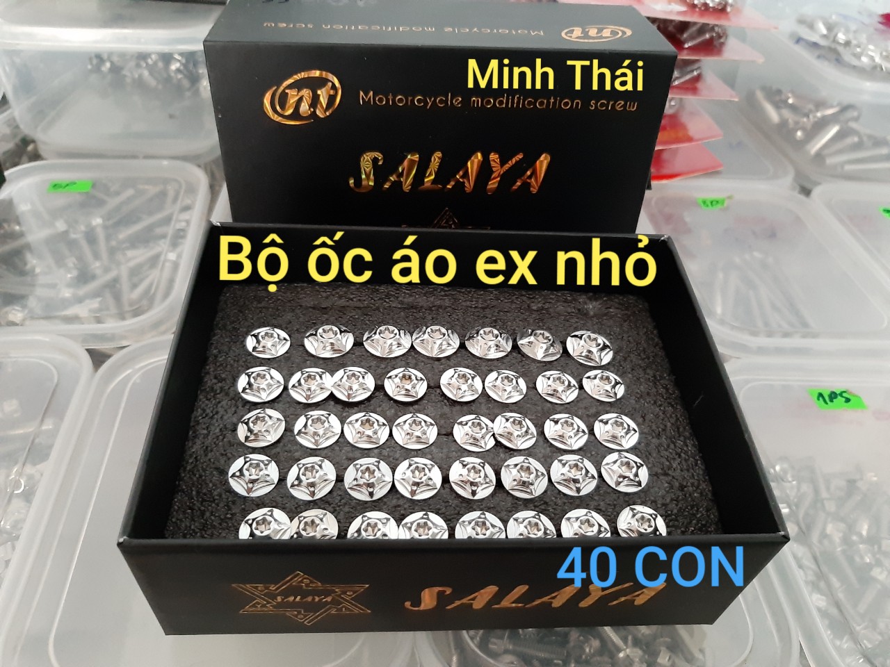 Ốc áo ex 2010 salaya 40con