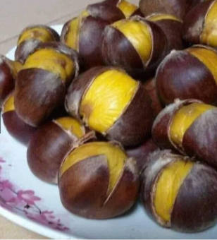 Hạt dẻ tươi sấy loại 1 size đại