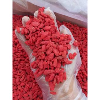 Kỉ tử đỏ loại to ngon ( câu kỉ tử)