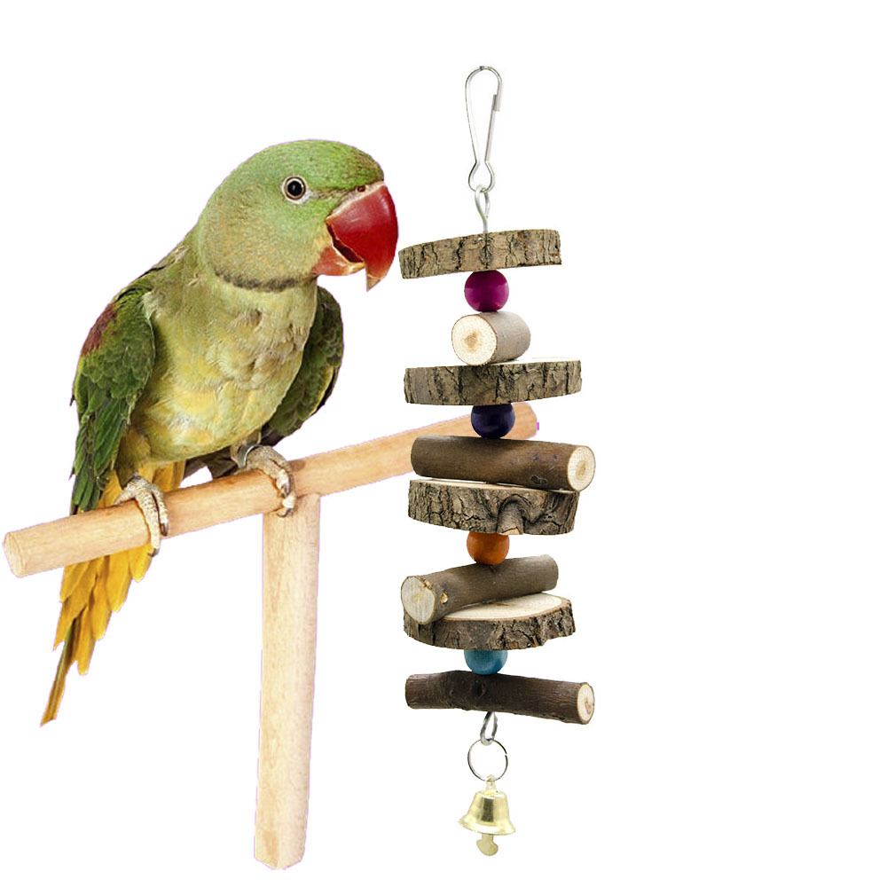 alexandrine parrot toys