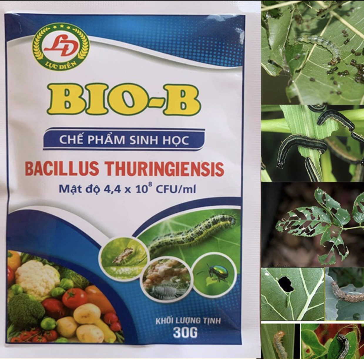 CHẾ PHẨM SINH HỌC BIO-B GÓI TRẮNG , TRỪ SÂU HIỆU QUẢ CAO , TỨC THÌ , CHUYÊN TRỊ , RẦY , RỆP , NHỆN , SÂU ĂN LÁ . TRÊN HOA HỒNG , LAN , CÁC LOẠI RAU , HOA MÀU