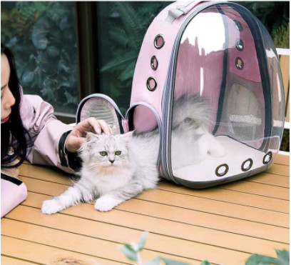 Ba lô vận chuyển chó mèo đi xa .