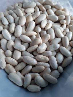 Đậu trắng to, 500g