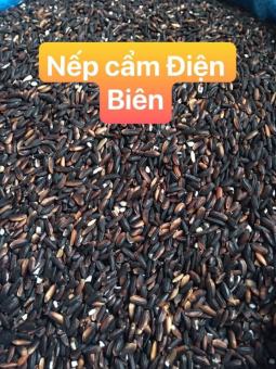 Gạo nếp cẩm Điện Biên hạt to tròn, thơm, dẻo cực ngon 1kg
