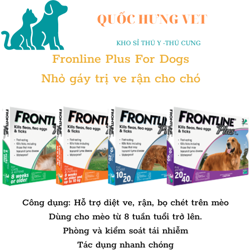1 Tuyp Frontline Plus ve chó, chấy rận Frontline Plus, thuốc nhỏ gáy frontline cho mèo, thuốc nhỏ gáy frontline cho chó - QUỐC HƯNG VET