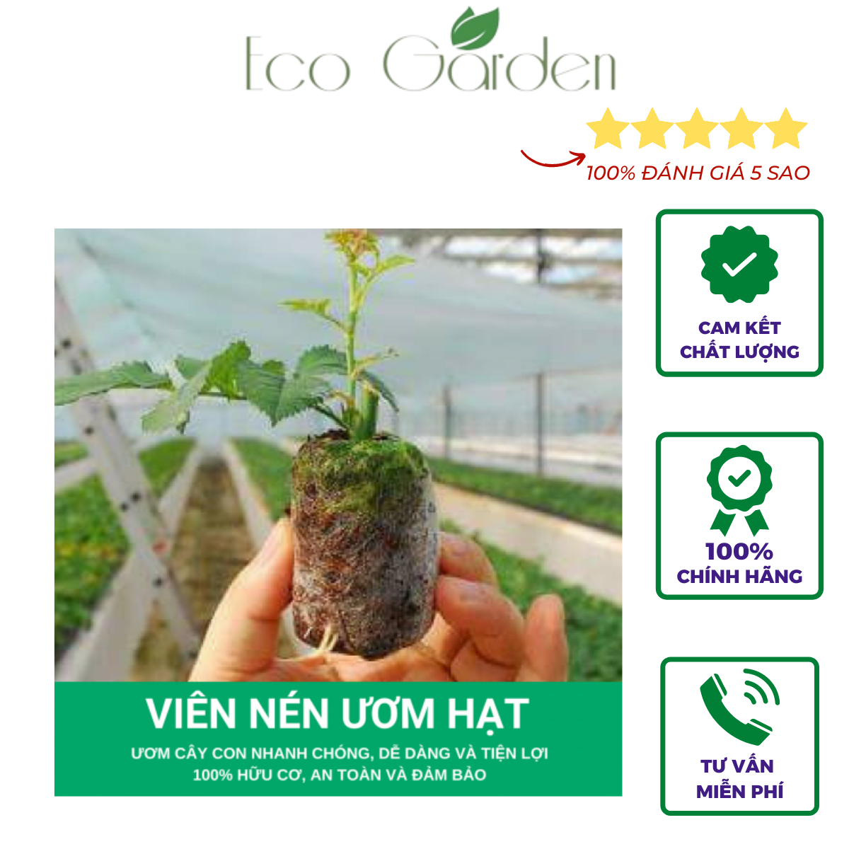 Bộ 50/105 Viên nén xơ dừa, viên nén ươm hạt (hàng loại dày)