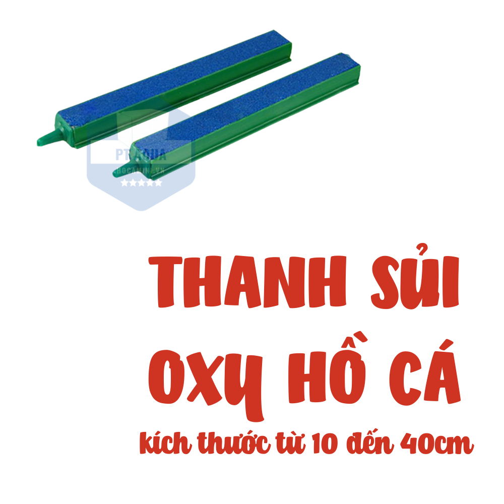 Thanh sủi oxy hồ cá