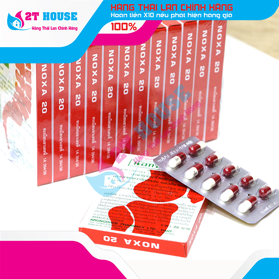 Viên giảm đau xương khớp gout noxa20 thái lan hộp 20 viên