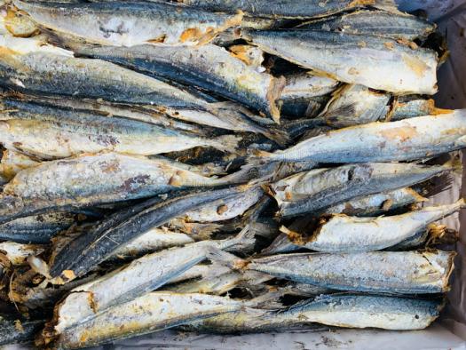 Cá khô xào khế, Khô cá Nục không đầu đặc sản khô Cà Mau thịt săn chắc, thơm ngon, giàu dinh dưỡng hút chân không túi 100GRAM, Thơm ngon, Ăn bao ghiền