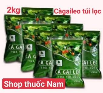 2kg trà cà gai leo túi lọc Sadu