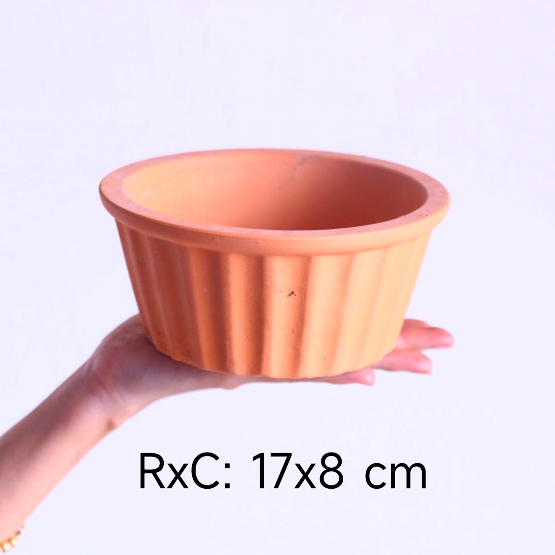 Chậu đất nung trồng sen đá hình sọc cho xương rồng, cây cảnh mini, cây cảnh để bàn