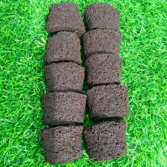 Set 10 viên mút hữu cơ ươm kie Hà Lan