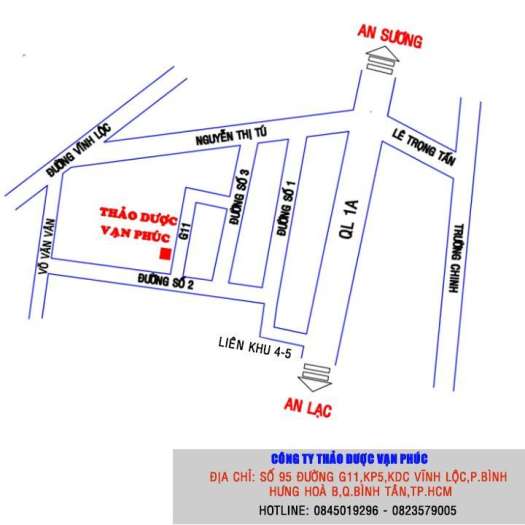 Cây nở ngày đất 500gam