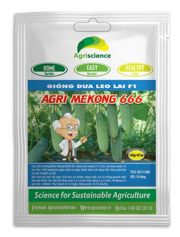 Hạt giống dưa leo agri mekong 666 -