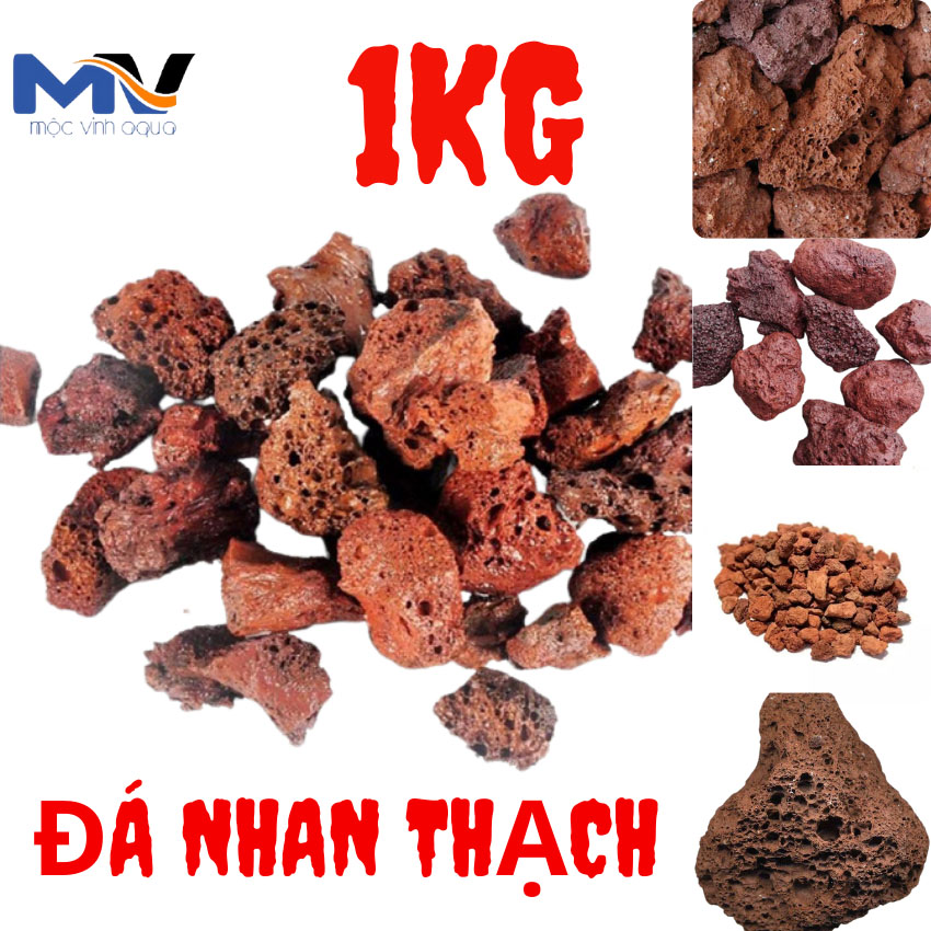 Đá nham thạch đỏ lọc nước cho hồ cá