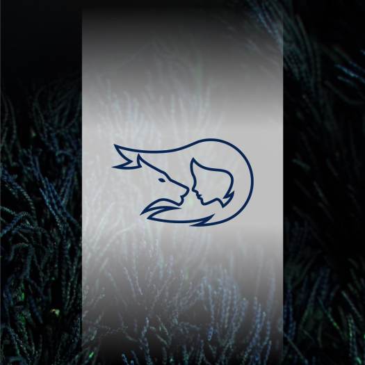 Bọt cạo lông vùng kín dành cho nam và nữ thành phần thiên nhiên dịu nhẹ lành tính chai vòi nhấn 120ml - LOLI & THE WOLF