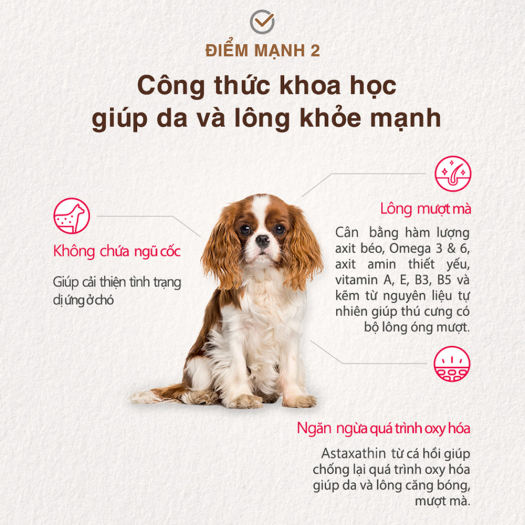 Hạt ANF Nature’s Kitchen Chăm Sóc Sức Khỏe Cho Chó Mọi Lứa Tuổi