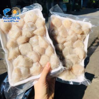 Giá Sỉ 1Kg Răng Mực Làm Sạch