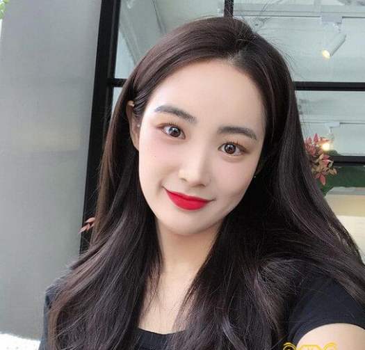 BỘT LÁ NHUỘM TÓC PHỦ BẠC Thuốc nhuộm tóc OGATIC