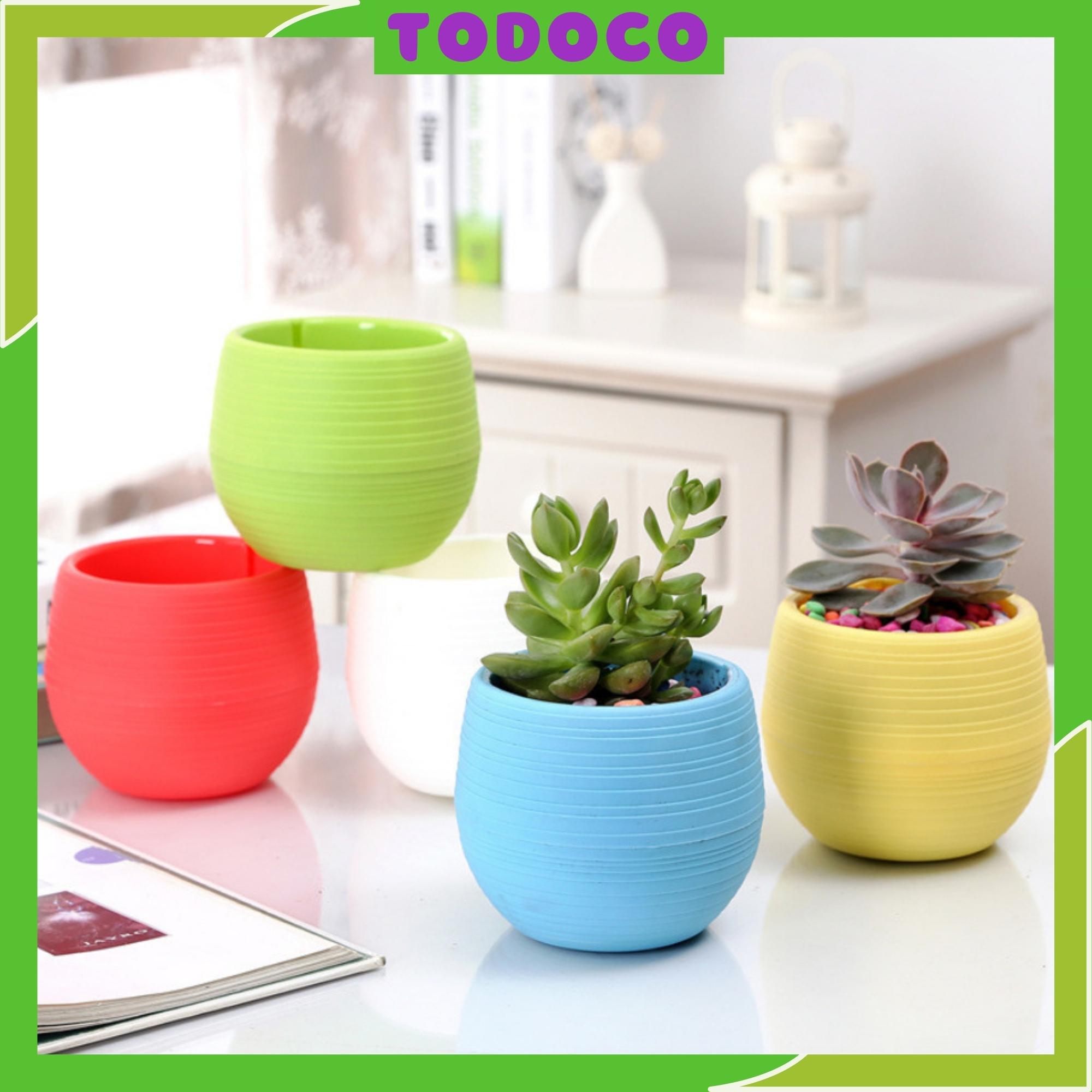 Chậu trồng Sen Đá mini giá rẻ đẹp - Chậu trồng cây Sen Đá Xương Rồng- 6 màu TODOCO