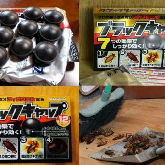 Thuốc diệt gián tận gốc Nhật Bản hộp 12 viên diệt gián hiệu quả an toàn thuốc diệt gián nhập khẩu