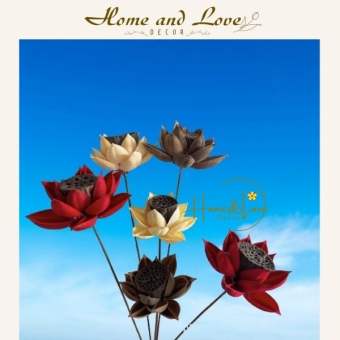 Hoa Sen Gỗ Khô Có Nhụy️FREESHIP️ Decor trang trí Vintage