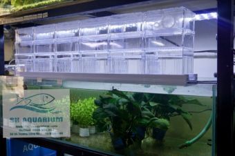 HỆ THỐNG LỌC DÀN MƯA 3 TẦNG 90CM