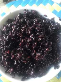 Gạo Nếp Cẩm Dẻo Điện Biên Trồng Nương khô ở độ cao 1000-1500m so với mặt Nước biển. Chỉ vùng núi cao Tây Bắc mới cho ra hạt Gạo Cẩm tròn giàu dinh dưỡng ăn chay gạo chất lượng Cao yoga eropic gym Làm đẹp