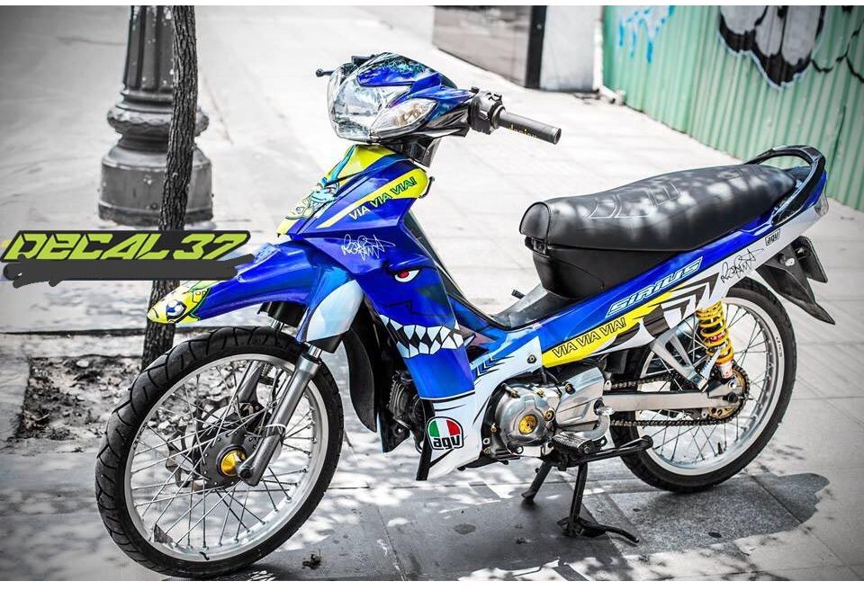 Tem trùm sirius 50cc Cá Mập Xanh Trắng  team dán xe máy sirius team trùm sirius tem decal sirius cá 
