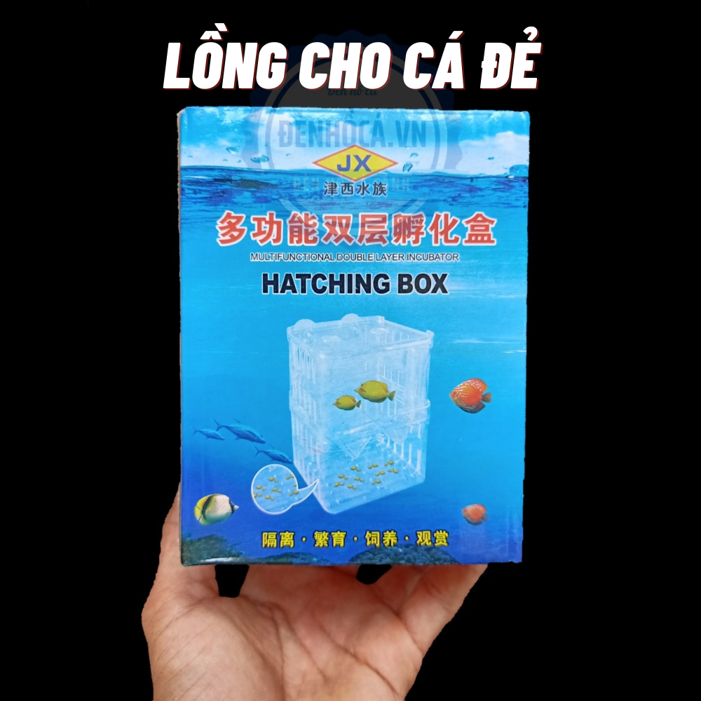 Lồng cá đẻ mica lồng cho cá 7 màu đẻ