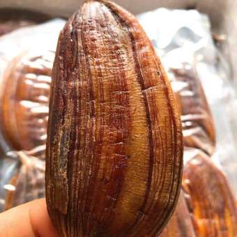 Gói 500gr Chuối hồng sấy dẻo thơm ngon hấp dẫn - Food by Mama