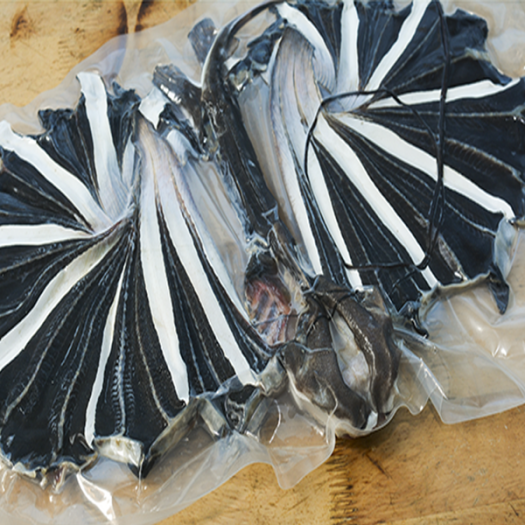 1 KG KHÔ CÁ ĐUỐI ĐEN CHÌ DAO ( CHÌA GIAO)- Vựa Khô Kiến Tường