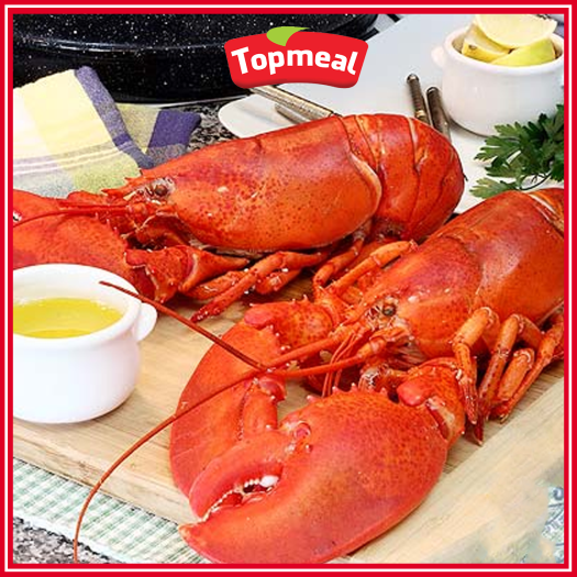 HCM - Tôm hùm Canada (300 - 400 g) - [Giao nhanh TPHCM]