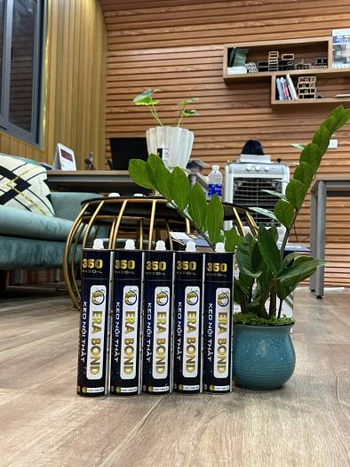 1 thùng Keo Era bond miễn đinh E350 ( nội thất)