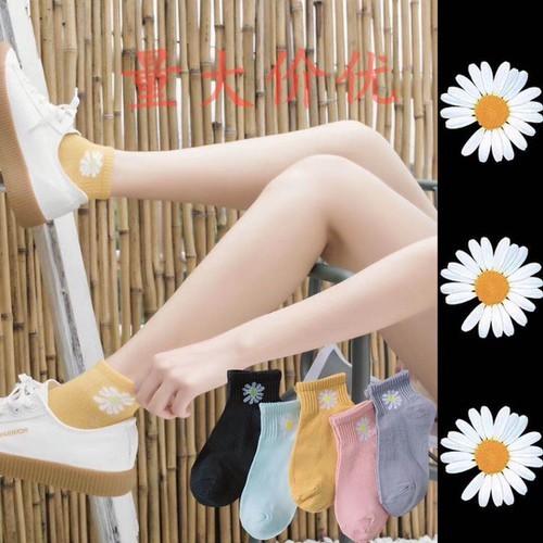 Set 10 đôi vớ hoa cúc hot trend