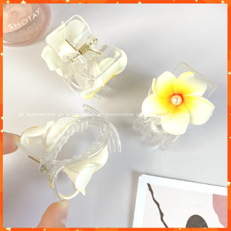 Kẹp tóc càng cua trong suốt 5 răng Hàn Quốc nữ đẹp hottrend, kẹp tóc trong suốt đính hoa lan độc lạ
