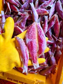 khô cá phèn nguyên con, hàng tươi ngon như , màu cá hồng tự nhiên, cá luôn mới, khô thoại sơn, khô phèn hồng, phân loại túi 0.5kg, túi 1kg, hút chân không kỹ càng