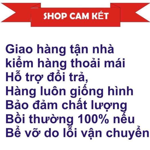 Bộ bàn ghế học sinh Việt Nhật (1 bàn+2 ghế)