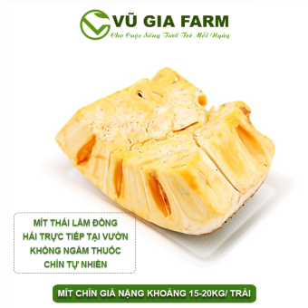 Mít Thái Bảo Lộc Lâm Đồng (1kg) – Chín Tự Nhiên