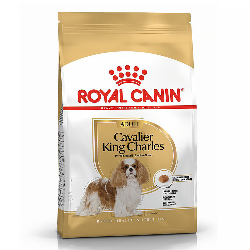 ava king charles dog food