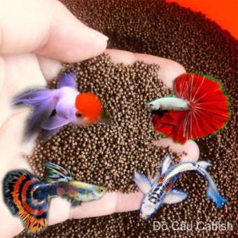 Thức Ăn Cá kiểng ĐẠM CAO,7 màu,3 đuôi,beta,Chép,Koi(viên 0.5mm--1mm--2mm)-Cám Cá Kiểng-thức ăn cá koi