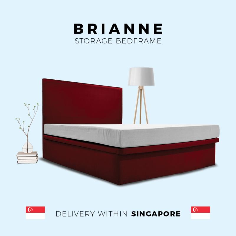 Brianne Queen Size Storage Bedframe